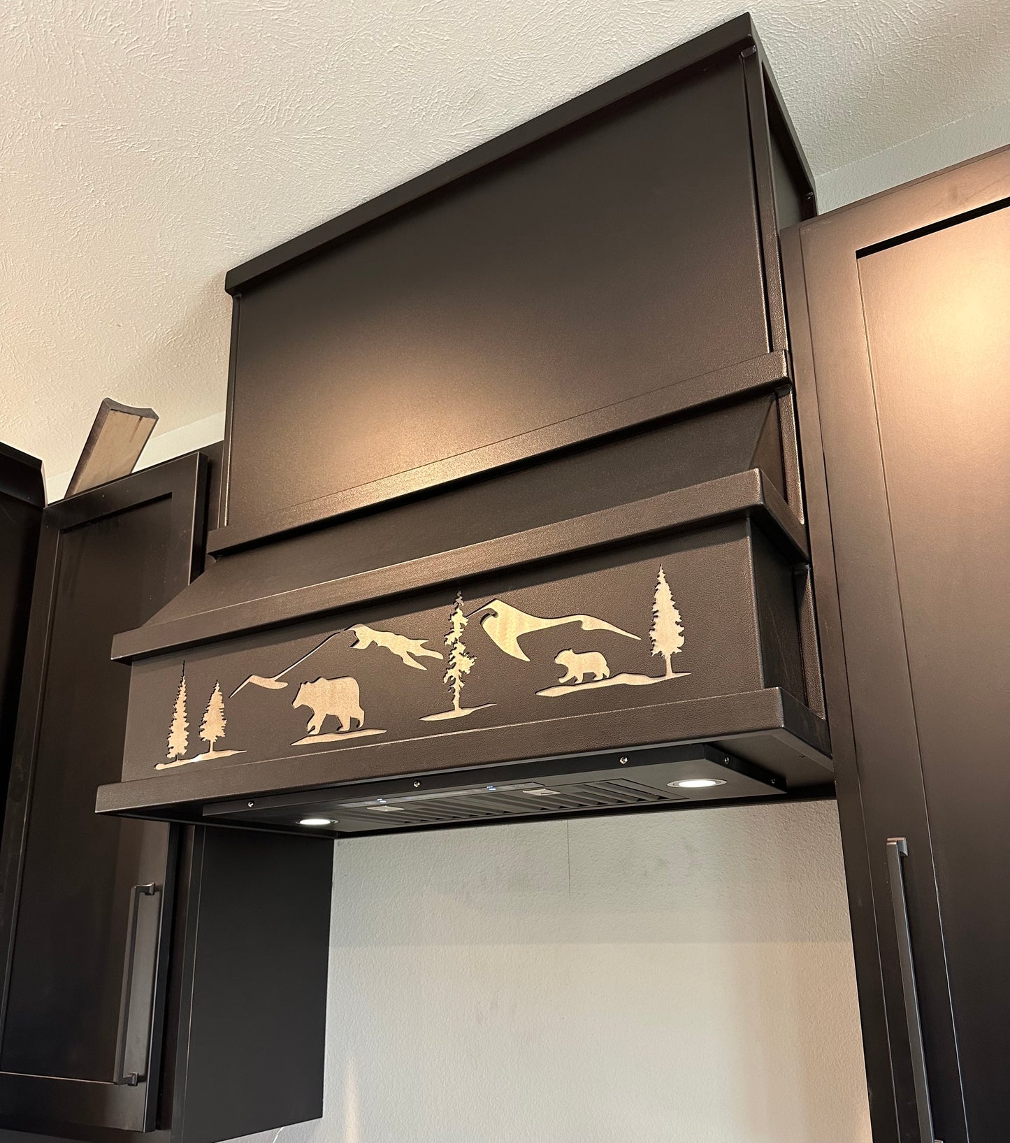 Alpine Range Hood